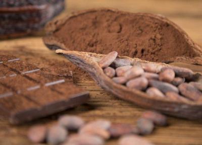 کاهش علائم ام اس با مصرف کاکائو