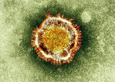 افزایش مبتلایان به ویروس کرونا در مصر به 45 نفر