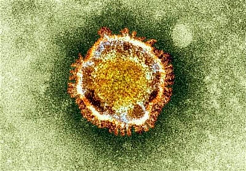افزایش مبتلایان به ویروس کرونا در مصر به 45 نفر