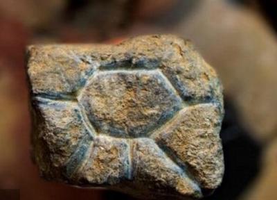 سنگ نگاره باستانی که تاریخ هنر را به چالش کشید