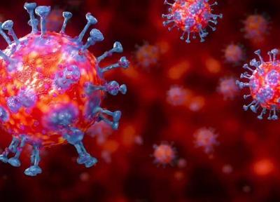 شمار مبتلایان به ویروس کرونا از مرز 2 میلیون نفر گذشت