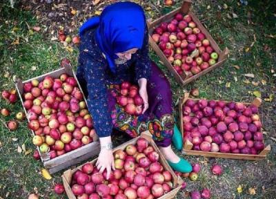 پروانه گردشگری کشاورزی در چهار شهر آذربایجان شرقی صادر شد