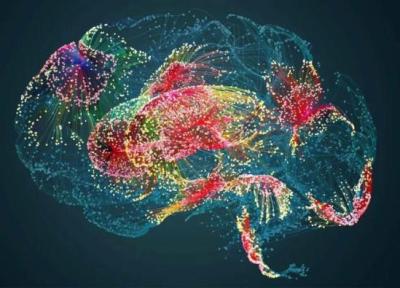 کشف لایه ای عجیب در مغز انسان