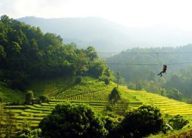 راهنمای سفر چیانگ مای