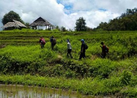 صرفه جویی در هزینه ها در سفر با تور تایلند